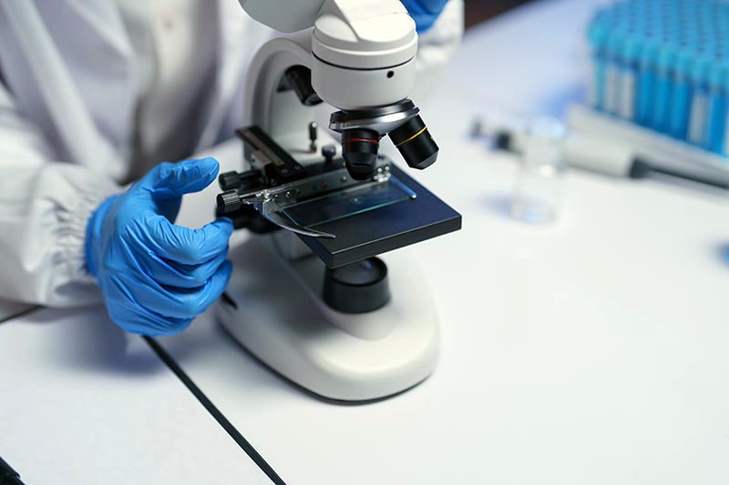 Lab quality pregnancy test